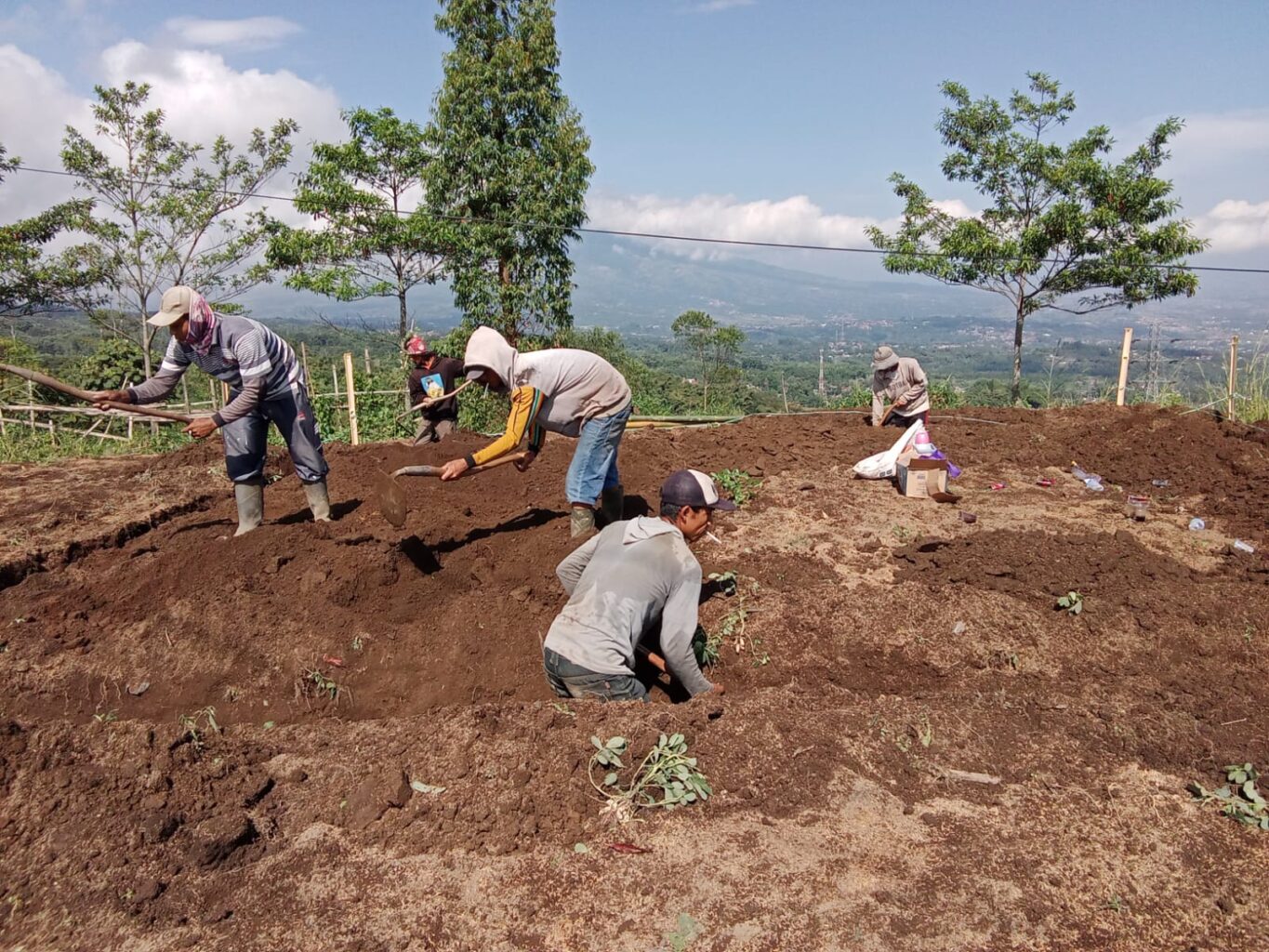 Several people dig dirt in a field overlooking a valley