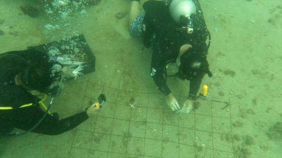 Two divers inspect equipment underwater