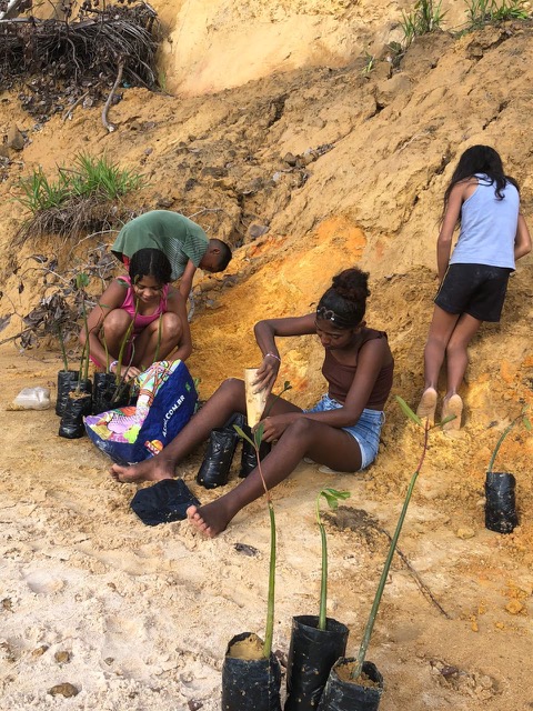 Cotijuba Island, Brazil
