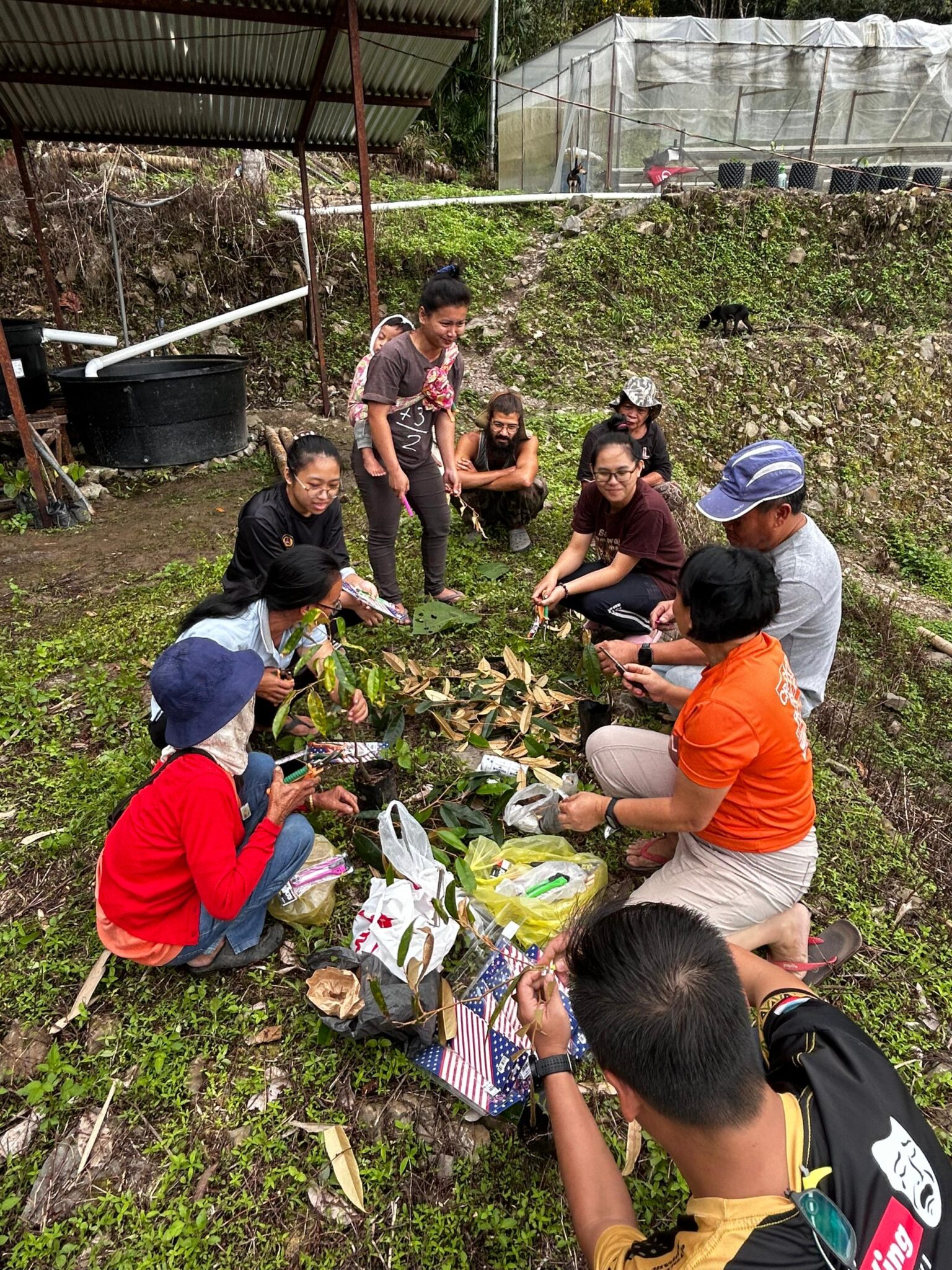 A group of people sit on the ground inspecting plants