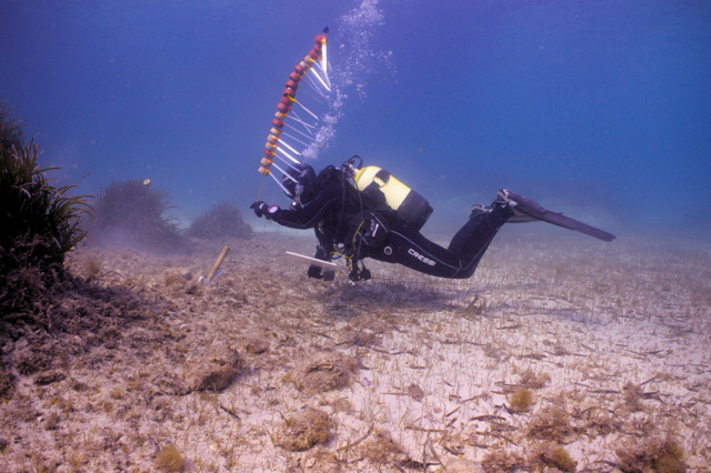 A diver looks at coral and implements on the sea bed
