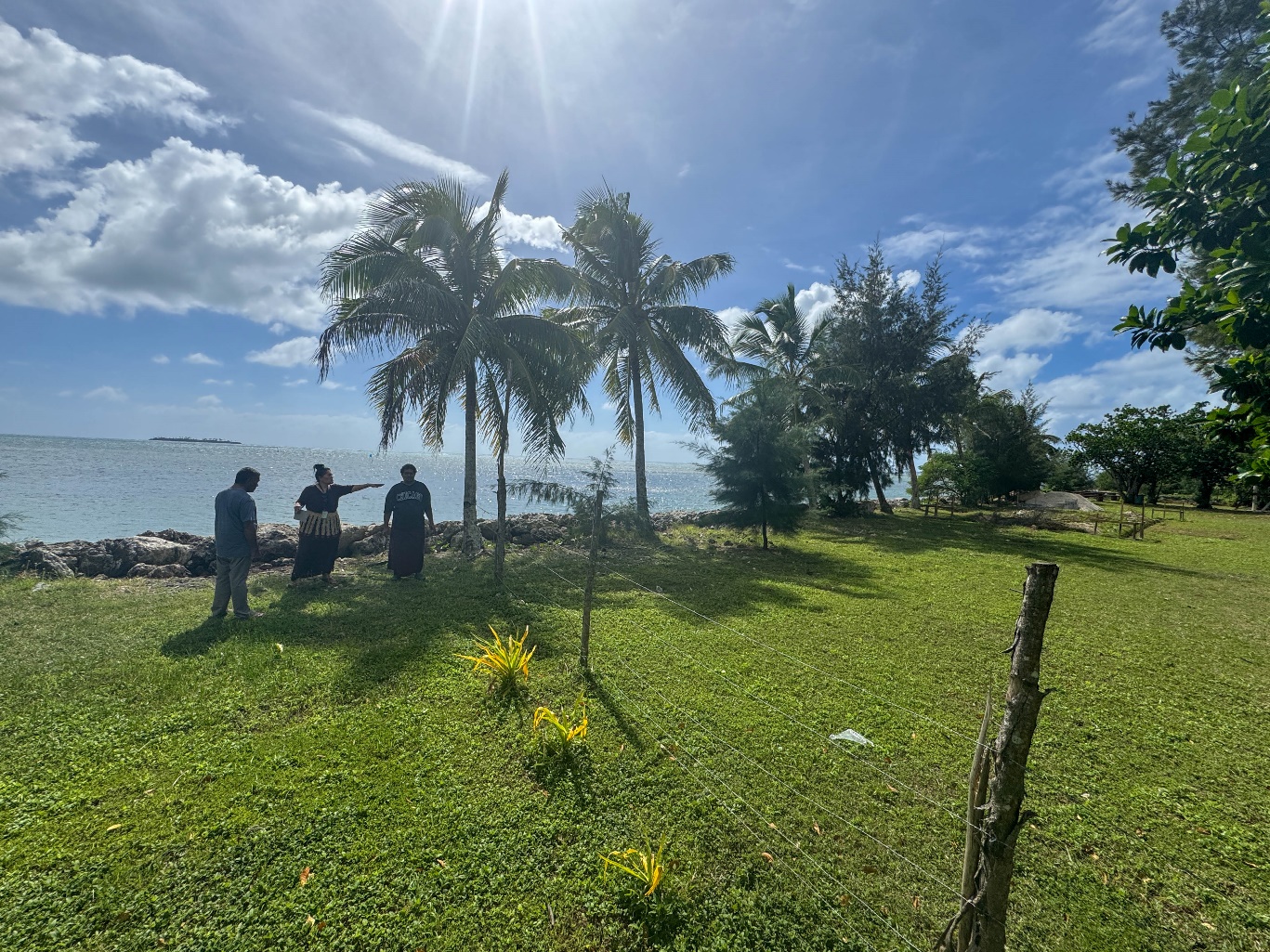 Three people stand on green grass under a palm tree next to the ocean. One of them points at a fence