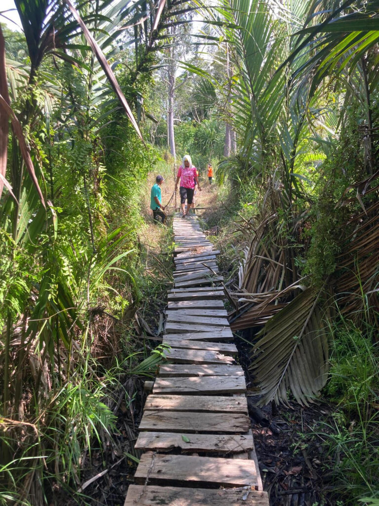 Two people walk down a boardwalk surrounded by palm trees and jungle plants