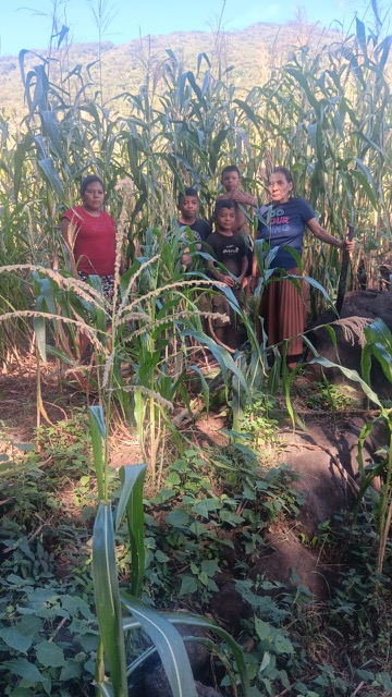 A group of people stands among tall crops