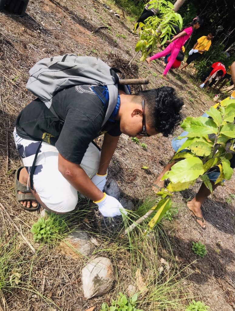 man plants or harvests plants