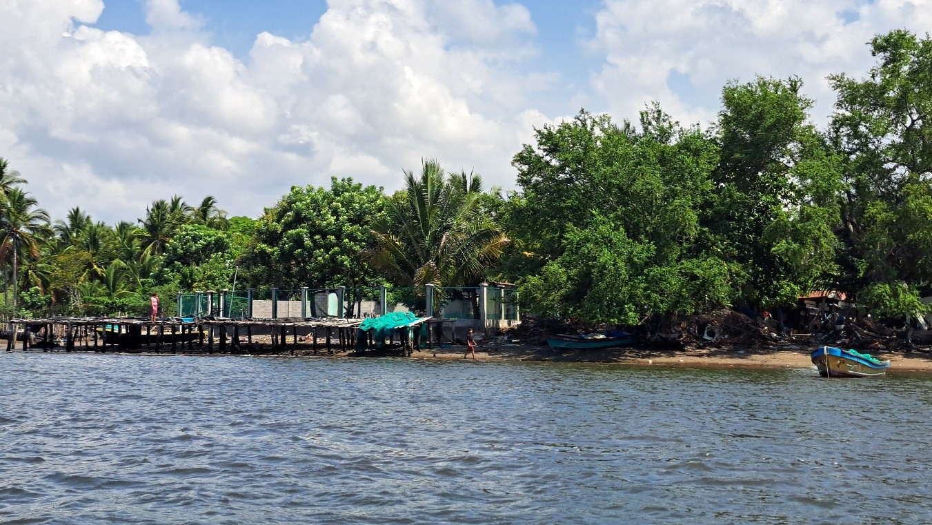 View of island's shoreline from water