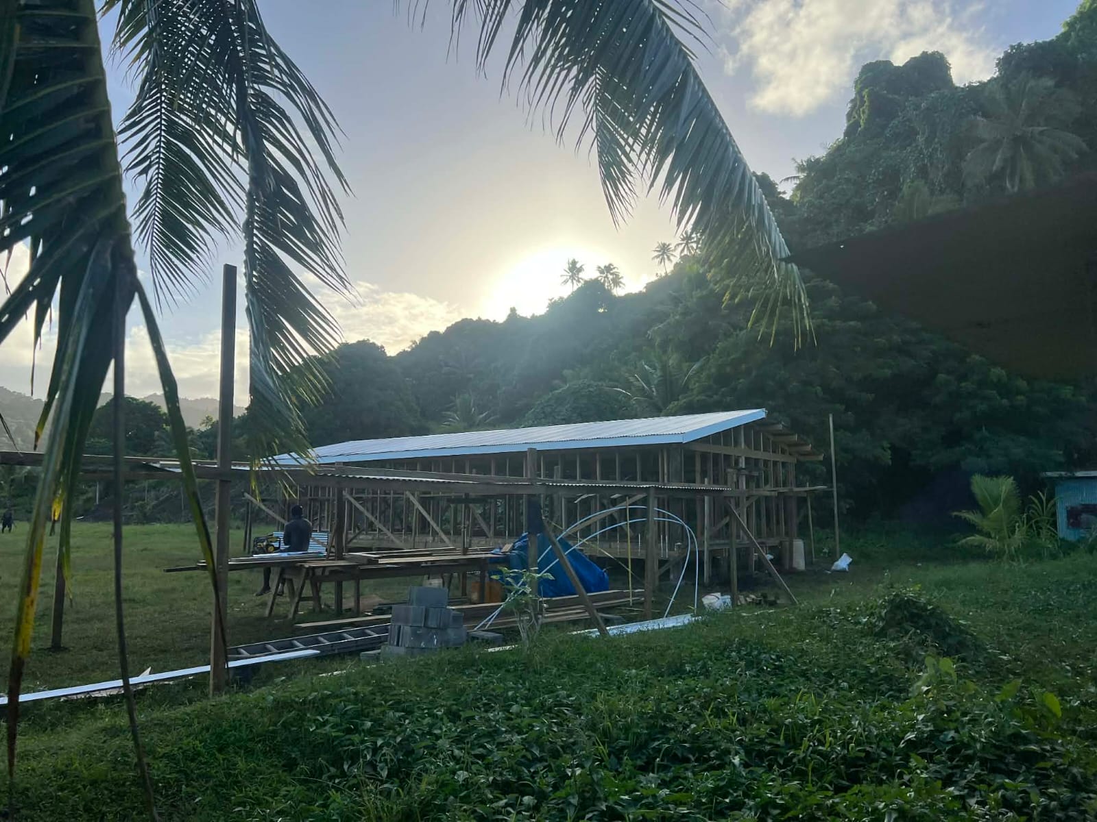 A partially constructed schoolhouse with a palm tree