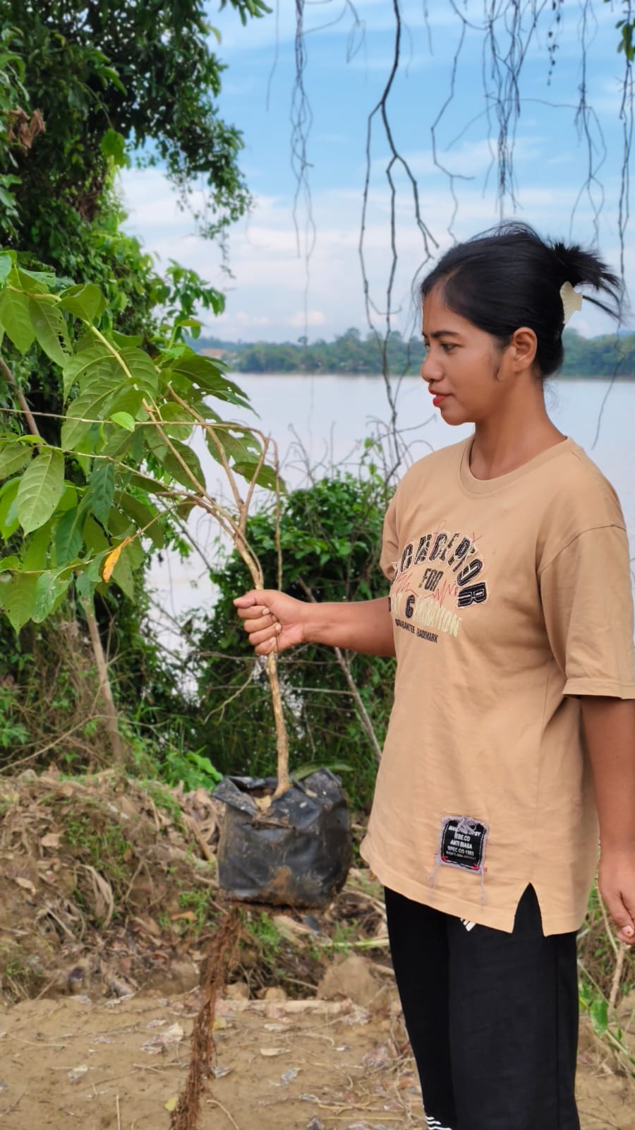 A person holds a tree sapling
