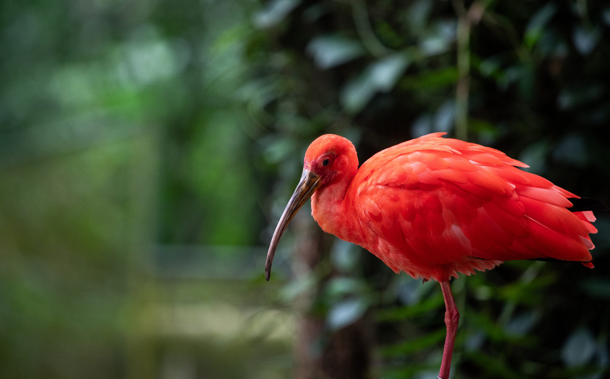 10 new Seacology projects creating conservation wins - Seacology