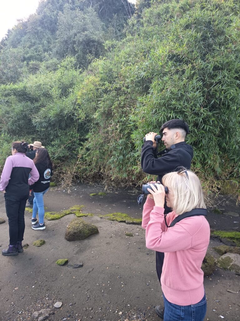 Several people look through binoculars on a beach with lots of trees