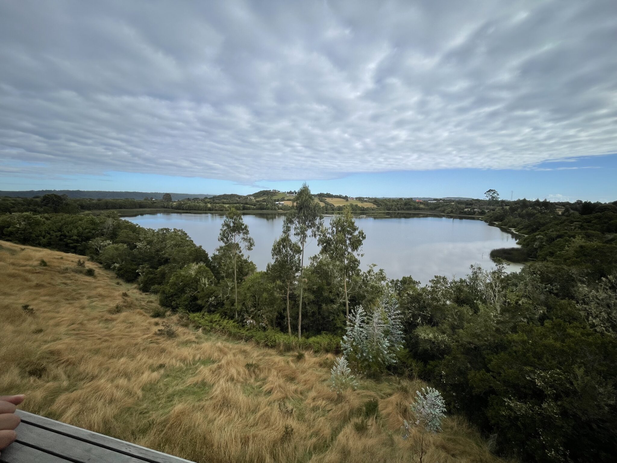 A lake surrounded by trees and plants with clouds hanging low in the sky
