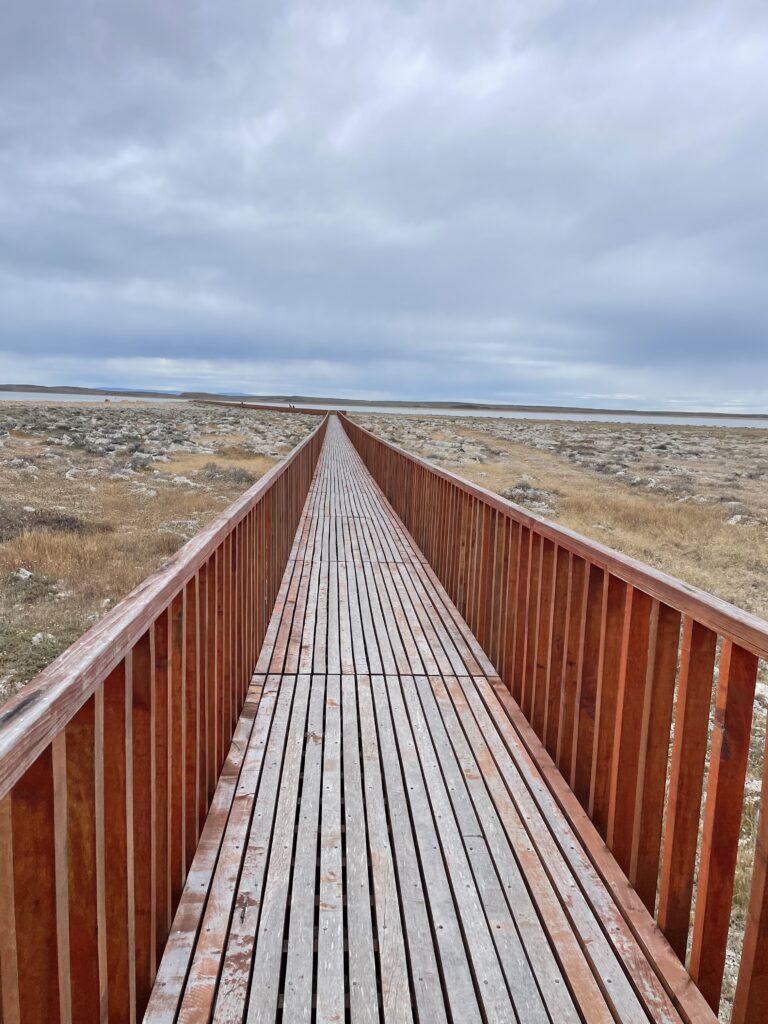 A boardwalk running along flat marshes